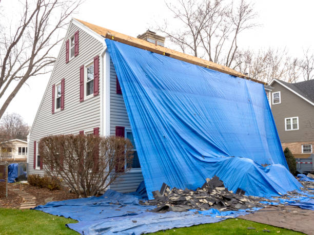 Best Demolition Debris Removal  in Stockbridge, MI